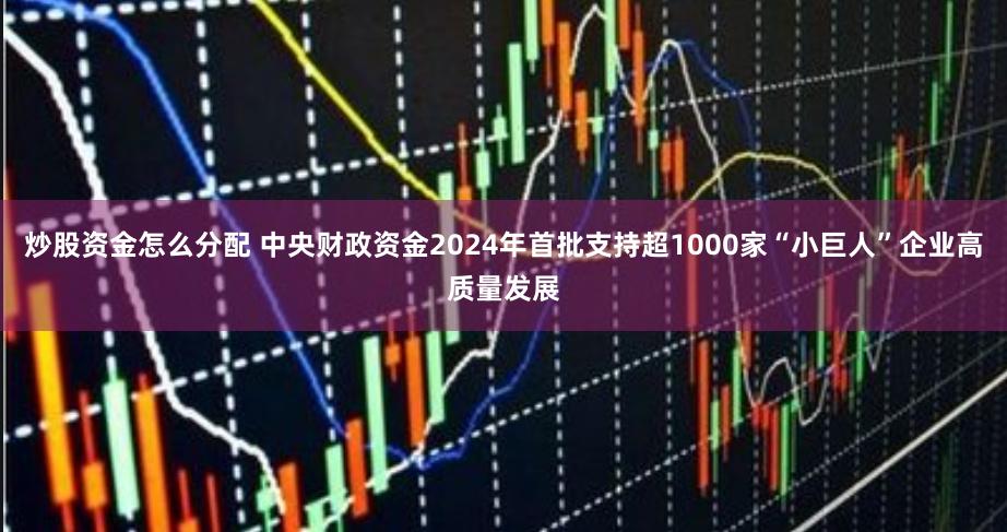 炒股资金怎么分配 中央财政资金2024年首批支持超1000家“小巨人”企业高质量发展