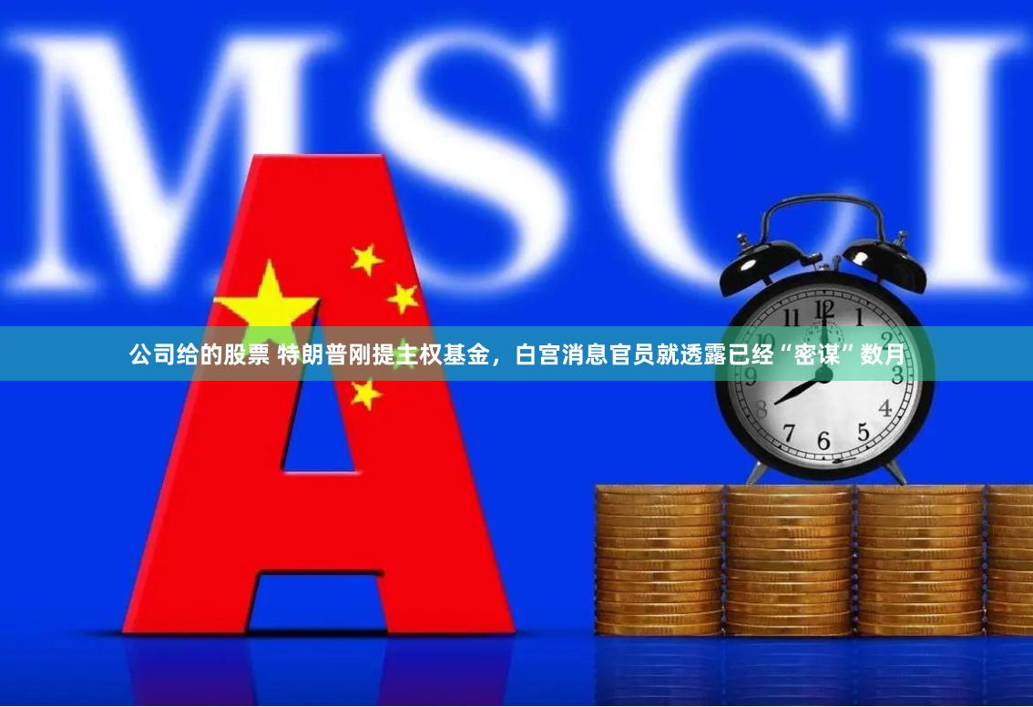 公司给的股票 特朗普刚提主权基金，白宫消息官员就透露已经“密谋”数月